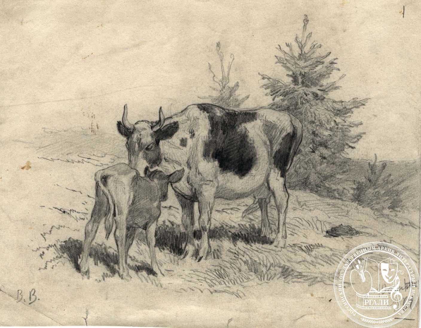 В.М. Васнецов. Корова с теленком. 10 сентября 1864 г. РГАЛИ. Ф. 716. Оп. 1. Рисунок, граф. карандаш.